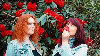 It Never Rains In Southern California - Cover by Ladies in Red