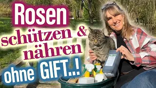 Organische Rosenpflege Anleitung: Top Tipps für 🌹🌞 blühende Frühjahrssaison - Landhaus Ettenbühl