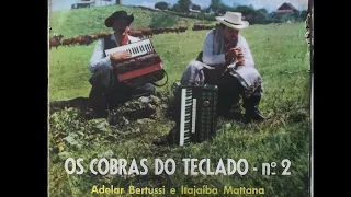 Bela ingrata - Os Cobras do Teclado