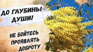 Сильные стихи… Поступок настоящего человека…"В переходе, замерзая… (Старик и мимозы)" Стихи о жизни