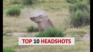 10 Hog Hunting Headshots