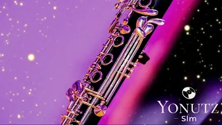 Instrumentala Clarinet 2 🍓 Kuchek Style 2023 @YonutzSlm