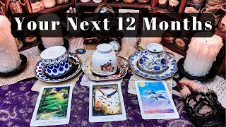 Your Next 12 Months COFFEE & TAROT