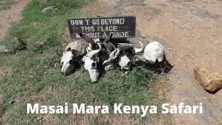 Masai Mara Kenya Safari March 2018