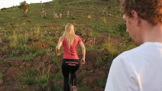 Zebras, lovers, sunset and pizzas