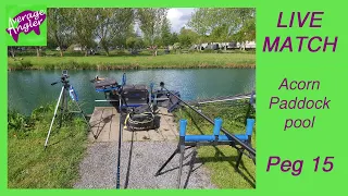 Match Fishing//Acorn fishery//Peg 15//Method fishing//pellet fishing
