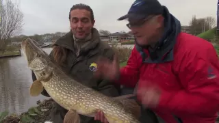 Visblad TV - Snoeken met dood aas