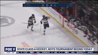 Minnesota boys hockey state tournament begins on Wednesday