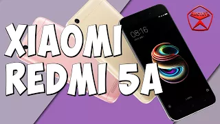 Xiaomi Redmi 5A, Царь горы в бюджетках? / Арстайл /