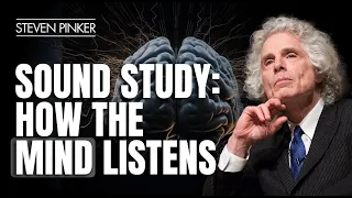 How The Brain Makes Sense Of The Auditory World