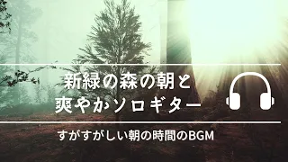 Natural Sonic 「新緑の森の朝と爽やかソロギター」- すがすがしい朝の時間のBGM -