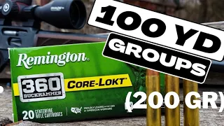 360 BuckHammer - 100 Yard Groups [200 gr Core-Lokt]