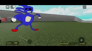 Roblox Sanic Chase Gameplay: Construct