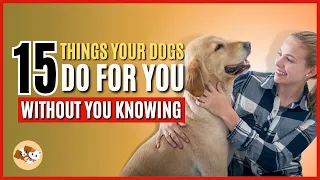 15 Things Your Dogs Do for You Without You Knowing | 15 Signs your Dog Loves you | Cutie paws Facts