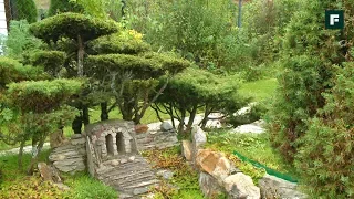 Сад в японском стиле. Сказочные острова в миниатюре // FORUMHOUSE