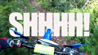 IS the Sherco 250 SE the QUIETEST 2 Stroke I've had?