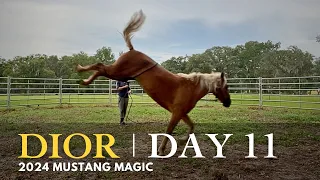 Dior Vlog Day 11: 2024 Mustang Magic
