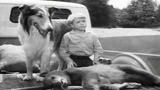 Lassie full episodes | The Archers  | 30 Minutes | Old Cartoons | Kids Movie | Videos for Kids