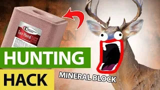 Never Buy A Mineral Block Again - Deer Season Hack