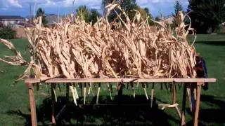 Corn Field Fire Experiment