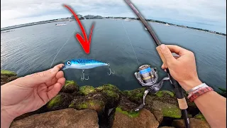 SALTWATER BANK FISHING MAYHEM! -- (This Is My NEW FAVORITE LURE!)