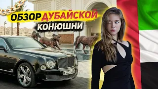 ЛОШАДИ ШЕЙХОВ / Дубайская конюшня королей 👑💰