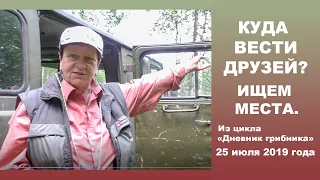 Куда вести друзей?  Ищем места.... Дневник грибника 25 июля 2019 года