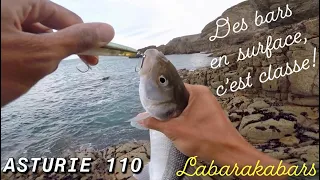 Pêche du bar en SURFACE avec l’asturie 110 = GROSSE SESSION