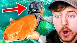 Я Прикрепил GoPro к Рыбе! | Strapped A GoPro To A Fish! #mrbeast #mrbeastshorts #mrbeastfanclub