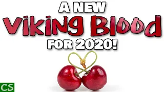 Viking Blood Mead - NEW UPDATED RECIPE for 2020 - Make some Cherry Mead