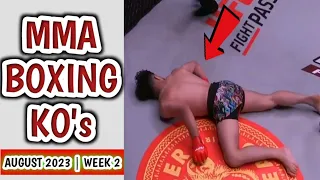 MMA & Boxing Knockouts, August 2023 | Week 2