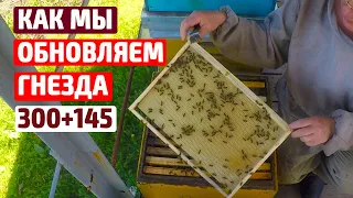 Обновление гнезда в Дадане 300+145  Работы на пасеке