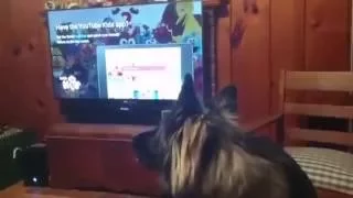 Dog reacts to dog watching Zootopia