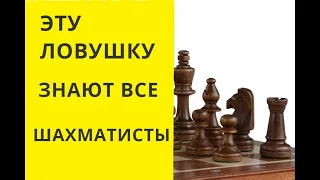 ЭТУ ЛОВУШКУ ЗНАЮТ ВСЕ ШАХМАТИСТЫ. онлайн, бесплатно, игра, шахматы