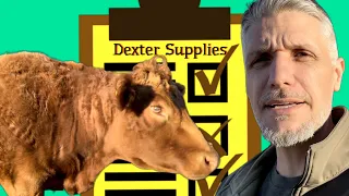 Guide To Buying Your First Dexter Cow #1 (Supplies)