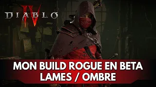 Diablo 4 FR : mon Build Voleur Lames Sournoises / Pas de l'Ombre pour la Beta 🗡️