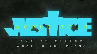 What do you mean? - Justin Bieber, Justice tour, Instumental/Backing vocal