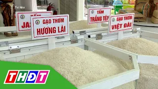 Giá lúa, gạo cùng tăng | THDT