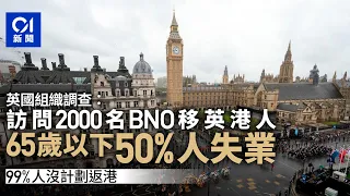 BNO移民｜英國調查：5成65歲以下受訪移英港人失業　99%無意回港｜01新聞｜英國｜失業｜移英港人｜回港