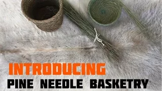 Pine Needle Basketry Introduction