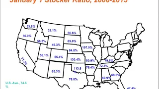 Role and Scope of the Stocker and Feedlot Industries