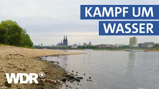 Wasserverbrauch der Industrie in NRW | Westpol | WDR