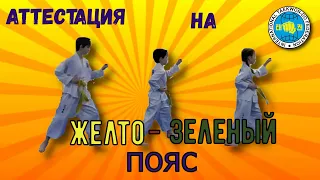 КАК ВОВА АТТЕСТОВАЛСЯ НА ЖЕЛТО-ЗЕЛЕНЫЙ ПОЯС! Тхэквондо