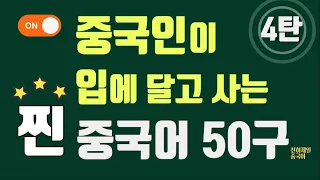 【찐좋은표현】중국인이 입에 달고 사는 찐 중국어 50구 4탄 #천하제일중국어 중국어 쉐도잉