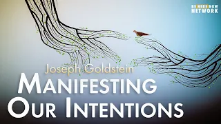 Joseph Goldstein: Manifesting Our Intentions – Insight Hour Ep. 135