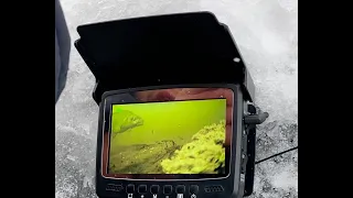 Подводный мир с камерой Vieweye