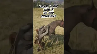Catching a wild horse in Red Dead Redemption 2 #reddeadredemtion2 #rockstargames #pcgaming #shorts