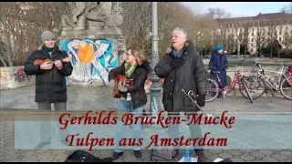 Tulpen aus Amsterdam - Gerhilds Brücken-Mucke