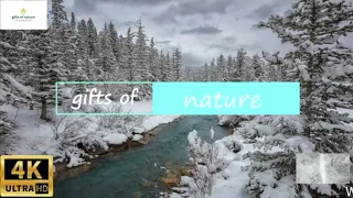 Incredible landscapes of a winter fairy tale - Guitar music that cuts into the very heart - Bliss