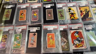 Nice Raw Vintage and rare Non Sport cards and stuff at the National 2023 J&J